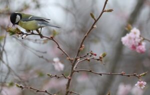 Новини України - Вихідні в Україні будуть теплими, місцями дощі