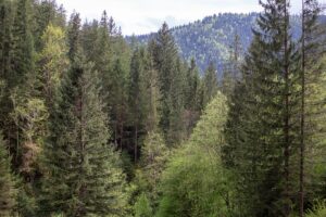 Новини України - Екопрокуратура скасувала незаконну передачу землі у Мигово