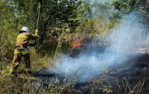 Новини України - На Одещині вирують масштабні пожежі: є жертва
