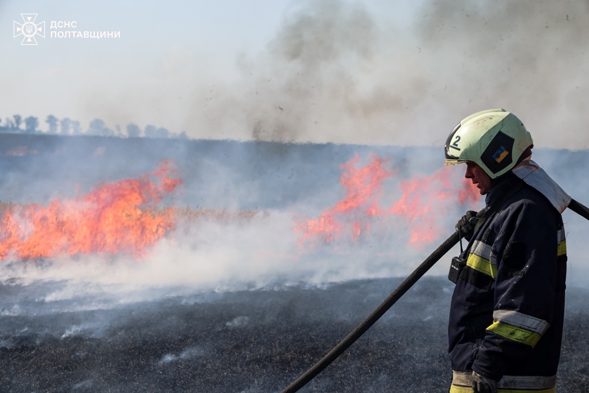 Новини України - На Полтавщині пожежа знищила поле зернових