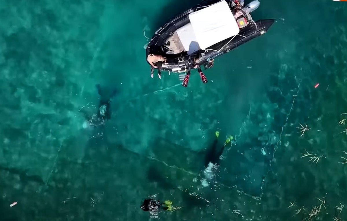 Технології - В Албанії знайшли найдавніше озерне поселення на континенті