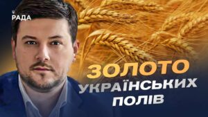 Український хліб 2025: як ідуть жнива та які прогнози | Денис Марчук
