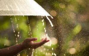 Новини України - Дощі та місцями грози: погода на вихідні