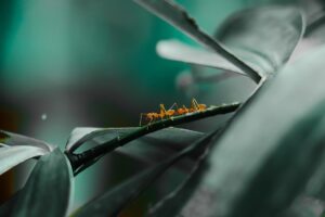 Новини культури - Гороскоп для всіх знаків зодіаку на 26 серпня 2025 року