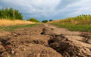 Технології - Континенти Землі висихають із безпрецедентною швидкістю - дослідження
