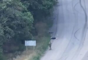 Новини України - На Покровському напрямку окупант розстріляв цивільного