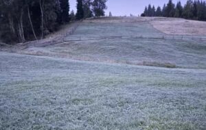 Новини України - В селі на Буковині зафіксували п'ятиградусний мороз