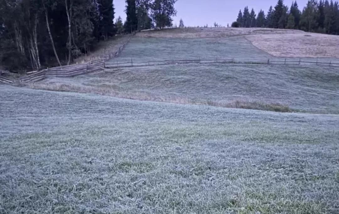 Новини України - В селі на Буковині зафіксували п'ятиградусний мороз