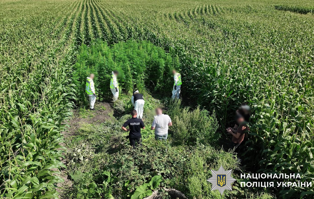 Новини України - В Україні провели масштабну операцію Джентельмени