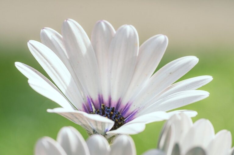 Гороскоп для всіх знаків зодіаку на 20-21 вересня 2025 року