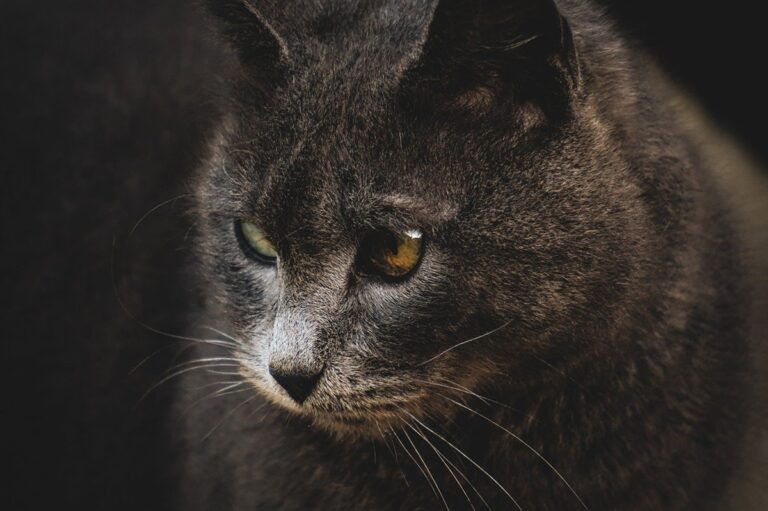 Гороскоп для всіх знаків зодіаку на вихідні 27-28 вересня 2025 року