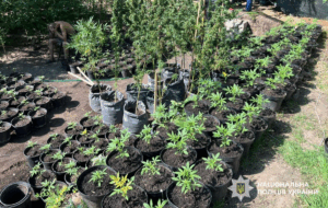 Новини України - В Україні провели другий етап спецоперації Джентельмени