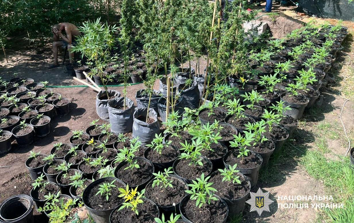 Новини України - В Україні провели другий етап спецоперації Джентельмени