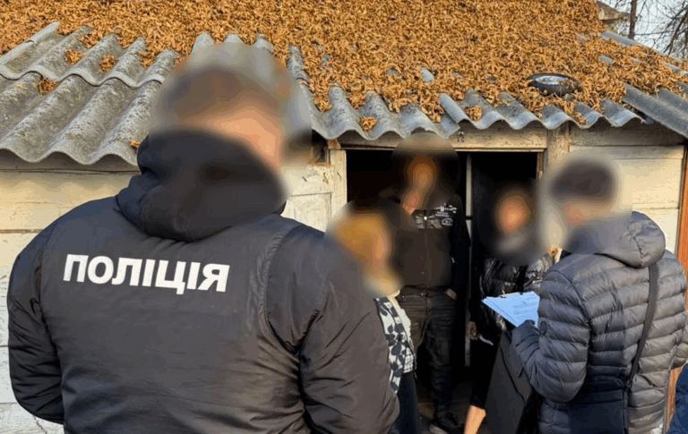 Фіктивне батьківство для виїзду за кордон: на Волині викрили ділків