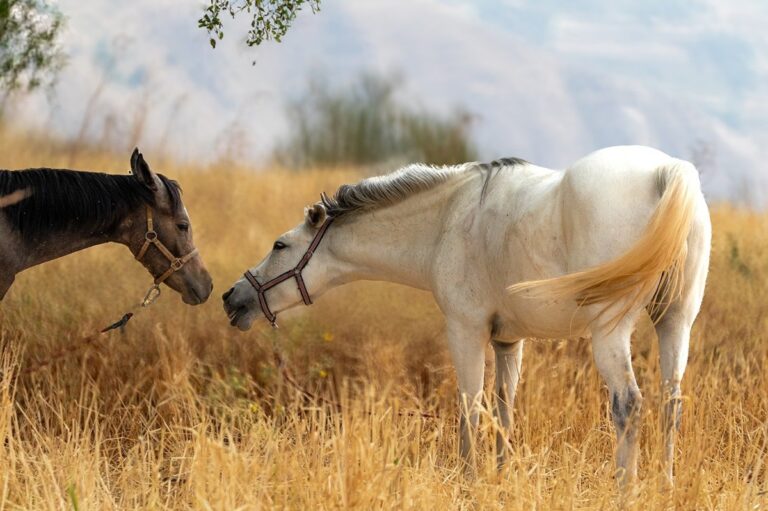 Гороскоп для всіх знаків зодіаку на 8 жовтня 2025 року