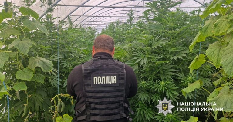 На Дніпропетровщині викрили наркоаграріїв