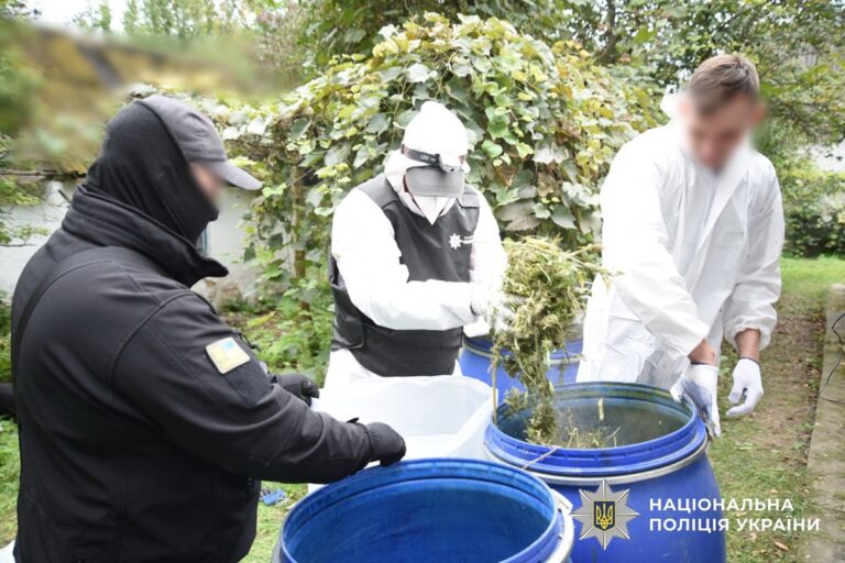 На Київщині вилучили наркотиків на 15 млн грн