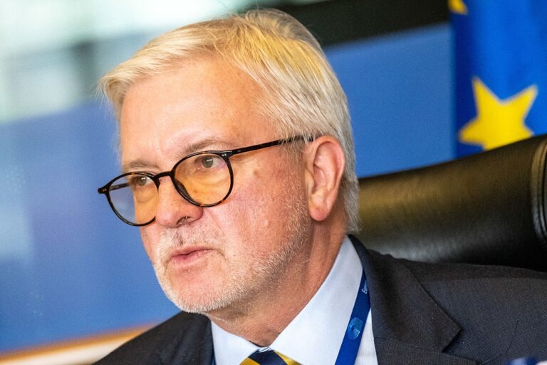 Окуповані території України не завадять вступу до ЄС – євродепутат