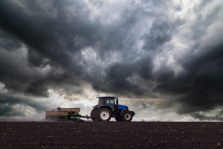 Українські аграрії засіяли 74% озимих культур