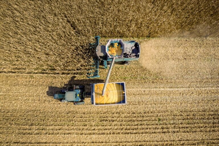 В Україні обмолочено 73% зернових площ