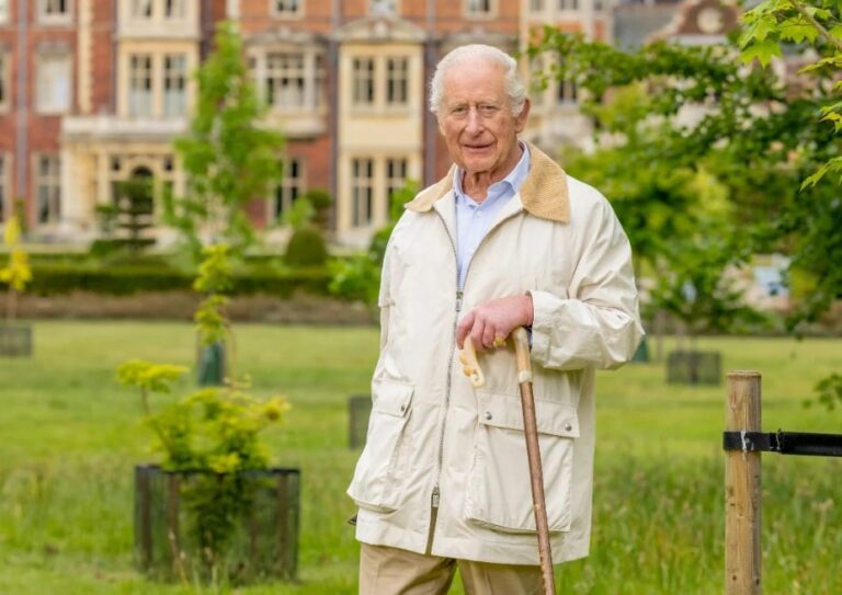 Букінгемський палац оприлюднив новий портрет монарха