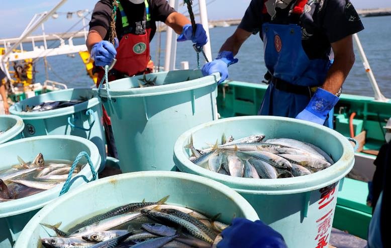 Новини бізнесу - Скандал через Тайвань: Китай заборонив японські морепродукти