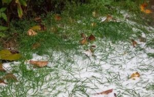 Новини України - Відомо, де дощитиме та сніжитиме в найближчі дві доби в Україні