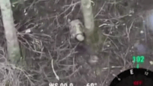 Новини України - Військовий РФ покинув товариша стікати кров’ю на полі бою