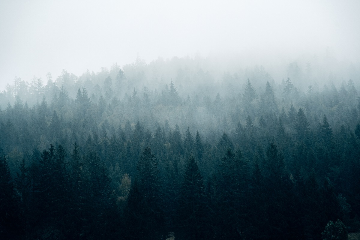 Без опадів, але з туманами: погода на початку тижня