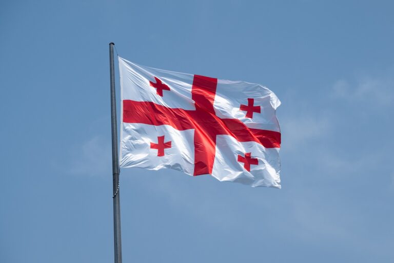 Грузія підтримала конвенцію щодо репарацій Україні