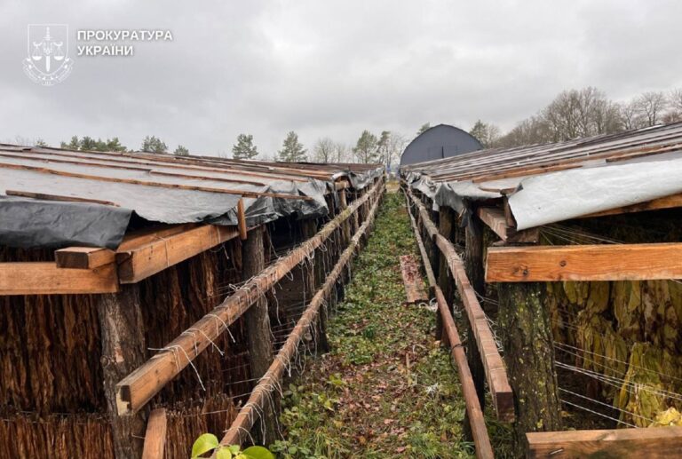 На Хмельниччині викрили підпільне виробництво тютюну