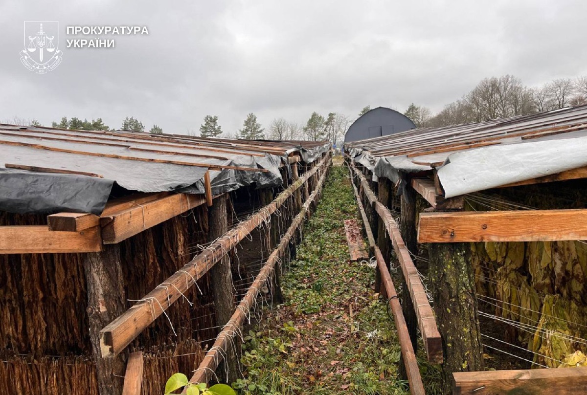 На Хмельниччині викрили підпільне виробництво тютюну