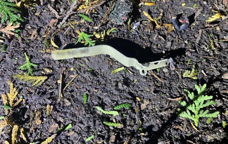 На Львівщині в ресторані вибухнула граната