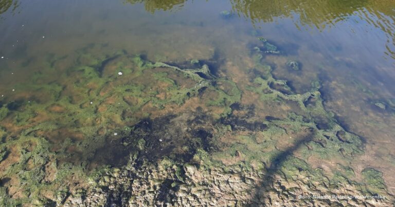 Річку в Луганську окупанти перетворили на токсичний колектор – ЦНС