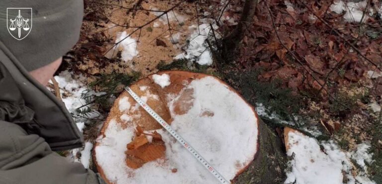 Суд розгляне справу ексочільника ДСНС, який “розчистив” заказник на 7 млн