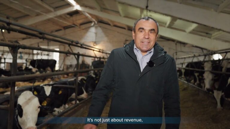 ARISE: Історії стійкості – відеопроєкт про результати підтримки українського бізнесу