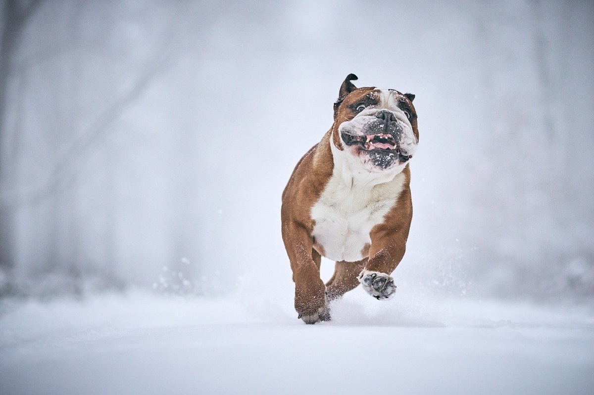 Гороскоп для всіх знаків зодіаку на 15 січня 2026 року