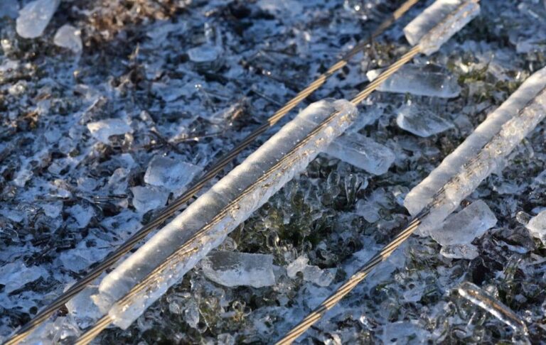 На Одещині маові пошкодження електромереж через негоду