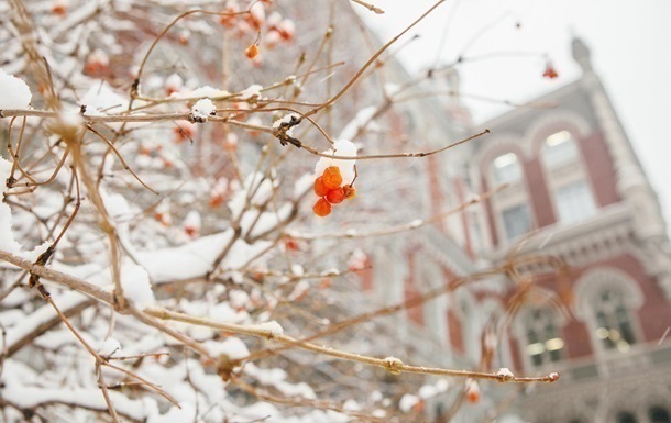 Нацбанк знову зміцнив курс гривні