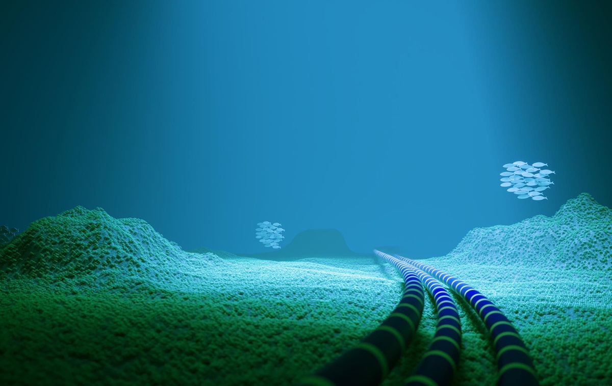 Пошкодження кабелю в Балтійському морі: в Литві повідомили деталі