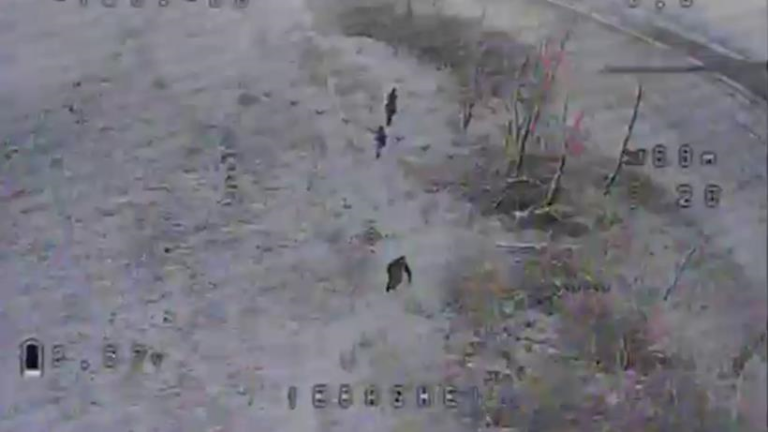 Прикордонники завадили окупантам прорвати держкордон на Харківщині