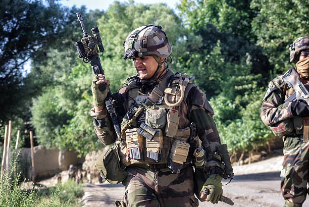 Ще одна країна направить військову місію до Гренландії