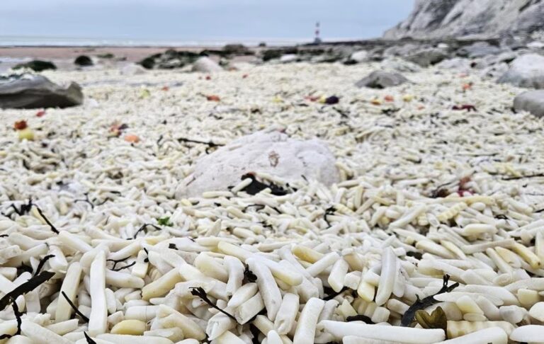 В Англії на узбережжя викинуло тонни картоплі фрі та цибулі