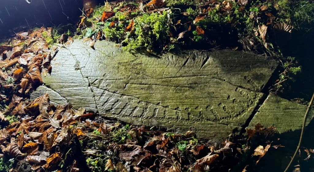 У Норвегії знайшли 3000-річні наскельні різьблення доби бронзи