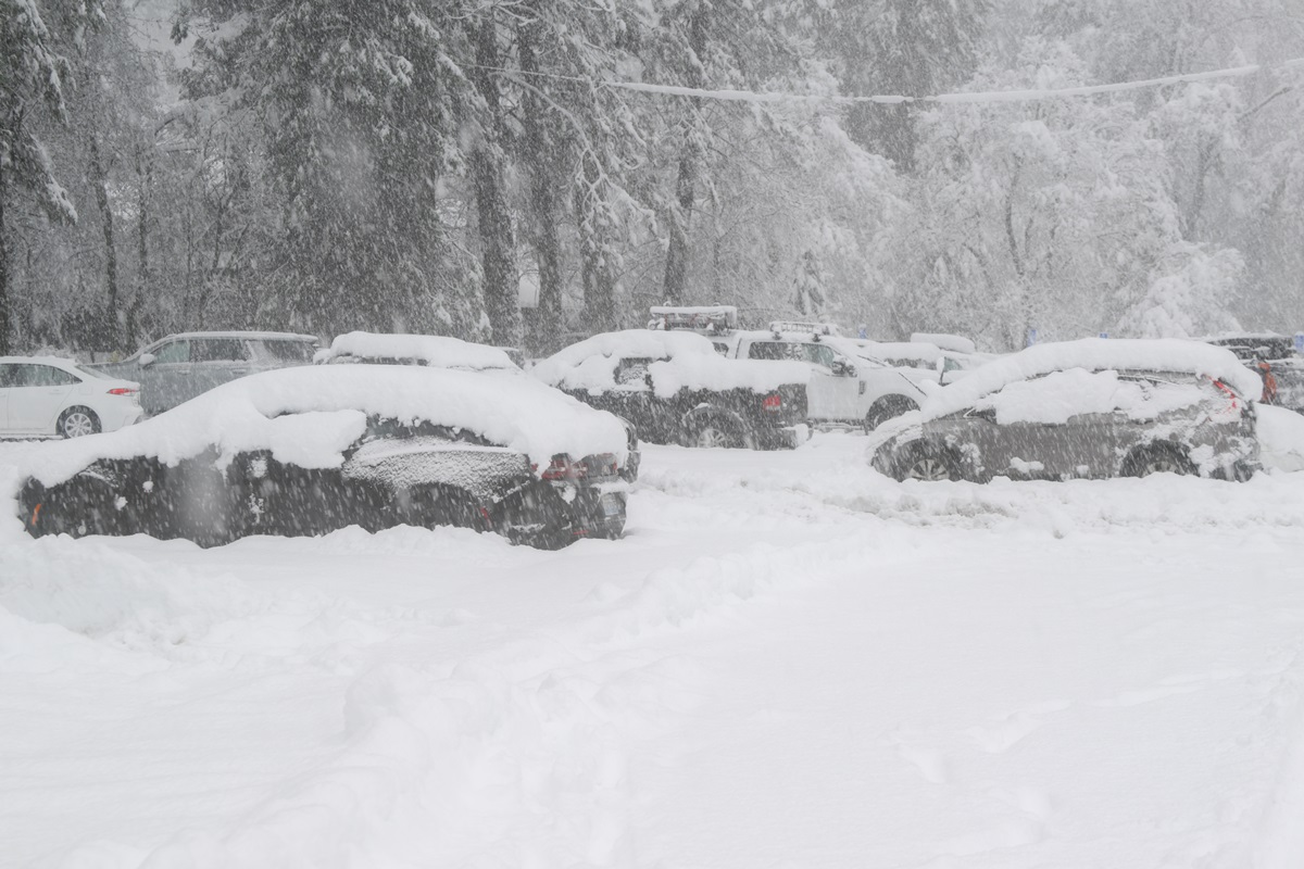 У США лавина накрила групу лижників: багато жертв