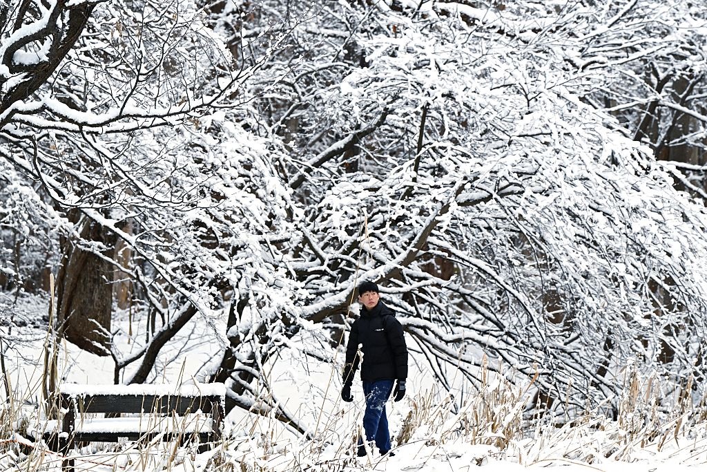 В Японії через снігопади загинули 35 людей