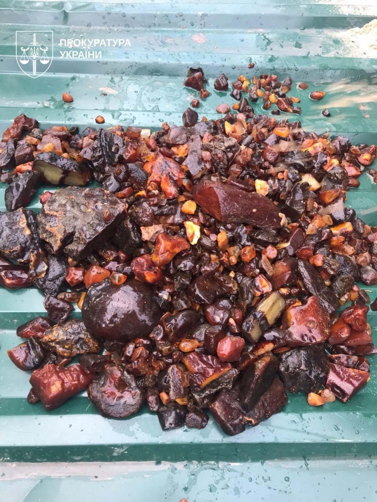 На Рівненщині викрили схему видобутку бурштину на сотні мільйонів