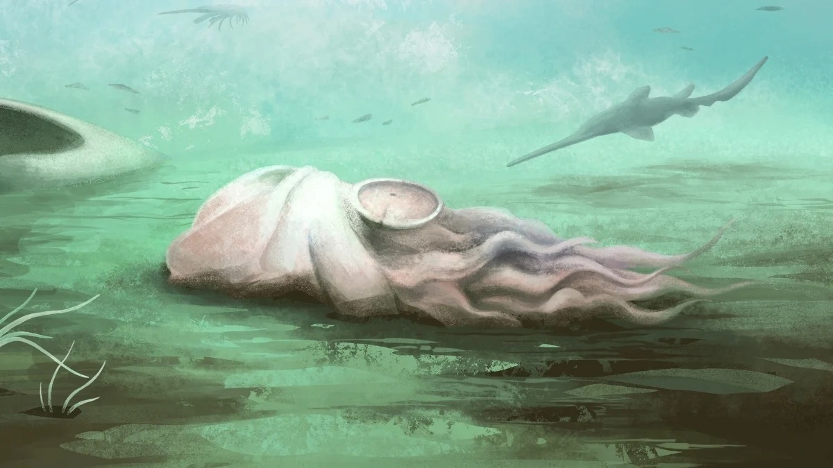 Найдавніший відомий восьминіг виявився зовсім іншою істотою